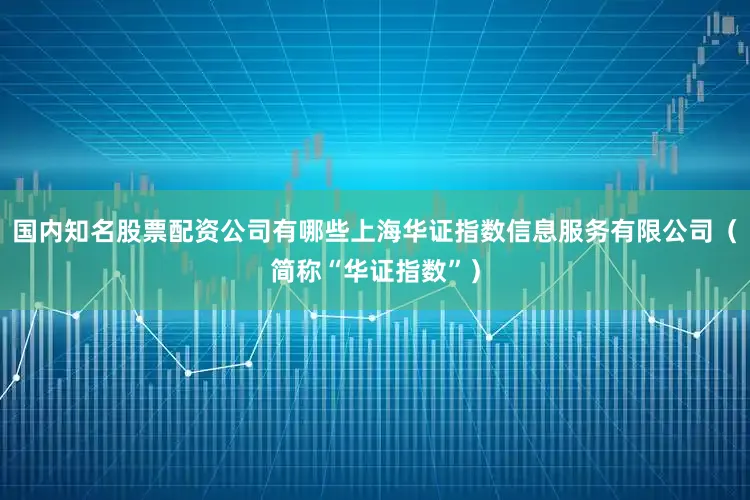 国内知名股票配资公司有哪些上海华证指数信息服务有限公司(简称“华证指数”)