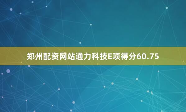 郑州配资网站通力科技E项得分60.75